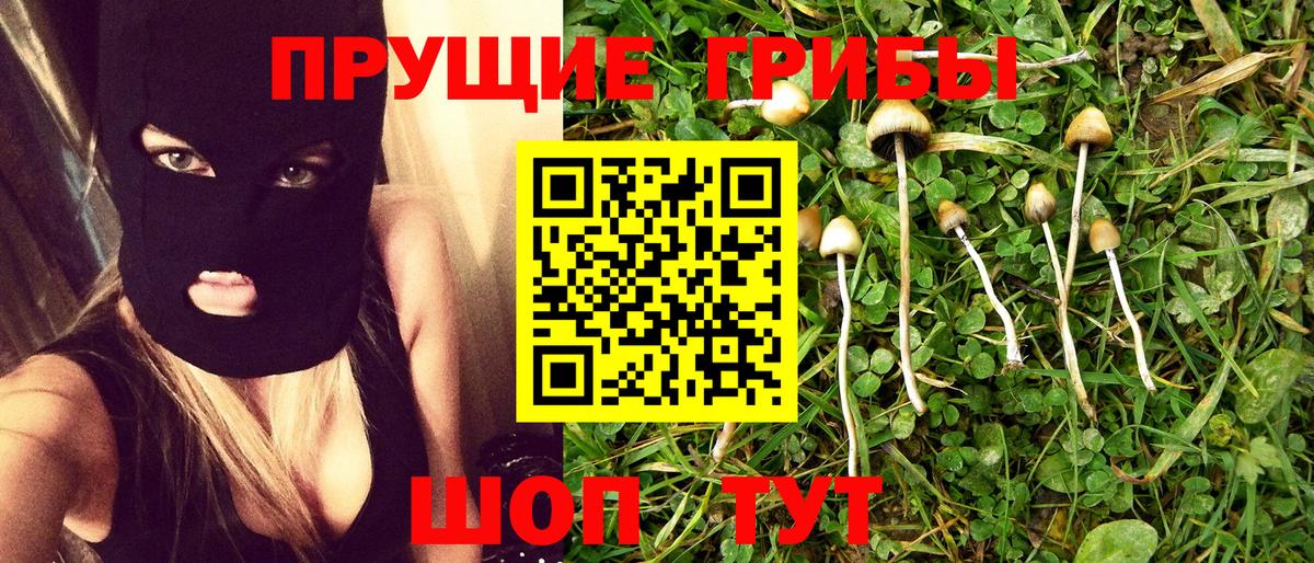 Галлюциногенные грибы Psilocybine cubensis Муравленко